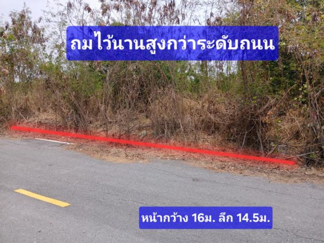 ●○●○●○ใกล้ถนนเส้นไทรน้อย 58 ตร.ว ถมนานแล้ว เกลี่ยสะอาดให้ด้วย ฟรีค่าใช้จ่าย วันโอน ●○●○●○