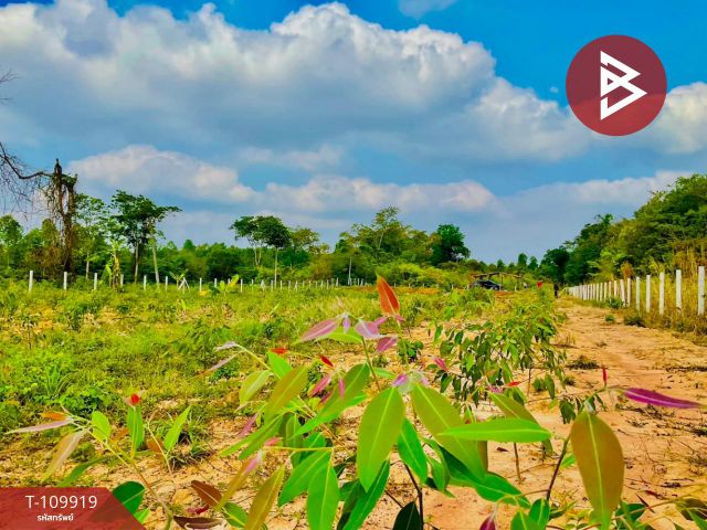 ขายที่ดิน เนื้อที่ 3 ไร่ กบินทร์บุรี ปราจีนบุรี