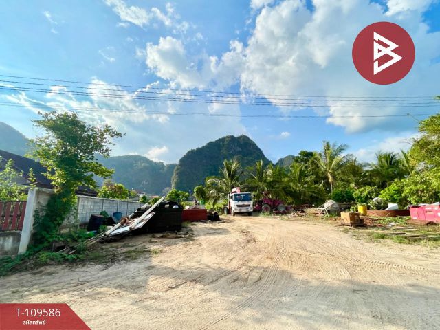 ขายที่ดิน เนื้อที่ 2 งาน 48.3 ตร.วา กระบี่น้อย กระบี่