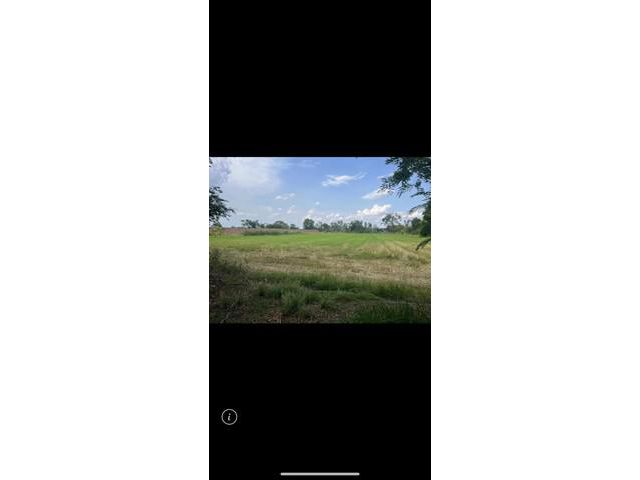 ขายที่ดินตำบลศิลา อำเภอเมือง จังหวัดขอนแก่น เนื้อที่ 8 ไร่ 75 ตาร
