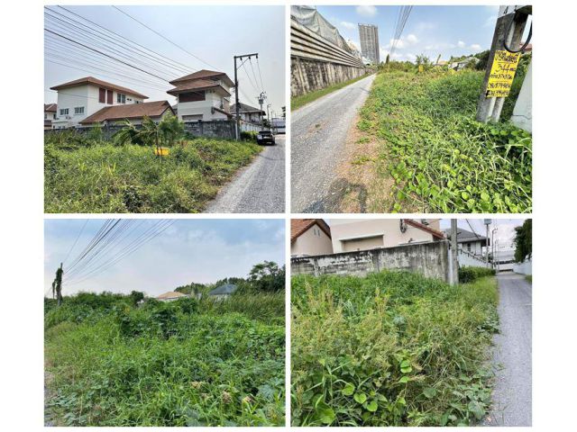 ขายที่ดินแปลงสวย ซอยแจ้งวัฒนะ 43 ปากเกร็ด นนทบุรี ทรงสี่เหลี่ยมผืนผ้า ขนาด 346 ตารางวา โทร 081-888-1986