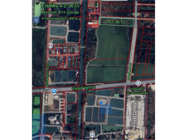 R68-079ขายที่ดิน 4-2-36 ไร่ ติดถนนปท.3015 เข้าจากถนนหลักลำลูกกาเพียง300เมตร เป็นแปลงมุมด้านข้างติดซอย ถนนกว้าง 10เมตร ที่ดินยังไม่ได้ถม ทำเลดี