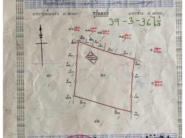 ขายที่ดิน(ที่นา) 39-3-36 ไร่ ติดคลองห้วยหิน น้ำไม่ท่วม เก็บค่าเช่านาต่อได้เลย ต.สายคำโห้ อ.เมือง จ.พิจิตร เข้าออกได้2ทาง