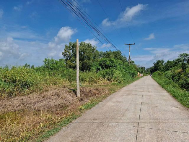 ที่ดิน 50 ตร.ว. หนองแค **ห่างจากสนามกีฬาหนองแค 4 กม. ราคาพิเศษจ่ายเพียง *สองแสนเก้าหมื่นบาท 290,000* คุ้มม๊าก ฉโนท พร้อม