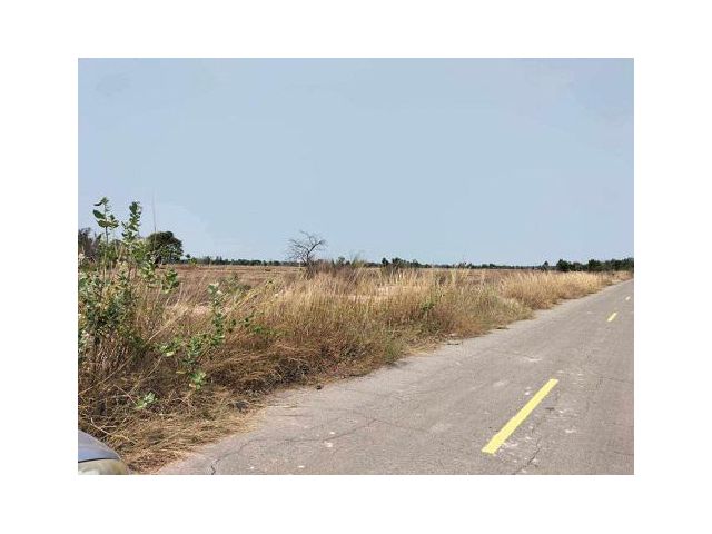 ขายที่ดินติดถนนลาดยาง