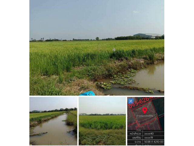 *ที่ทำนา 9 ไร่ 37.8 ตร.ว.  ท่าช้าง วิเศษฯ อ่างทอง