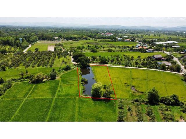 ขายที่ดินวิวทุ่งนามีหนองน้ำ ติดถนนคอนกรีตในชุมชน