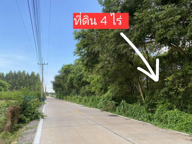 ขยาที่ดิน 4 ไร่ ติดถนนคอนกรีต ต.นาเริก