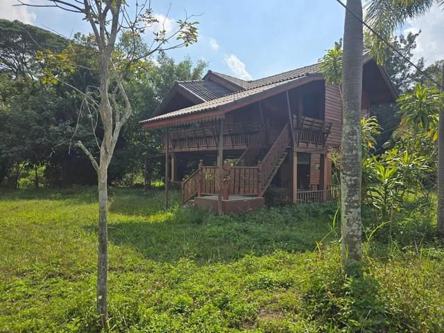 ขายที่ดิน ที่ดิน เนื้อที่ 1.5 ไร่ ตำบลห้วยแก้วจังหวัดเชียงใหม่
