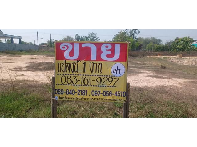 ขายที่ดิน 1 งาน  ถมแล้ว พร้อมสร้างบ้านอาศัย บ้านไร่บึงถ้ง   พิษณุ