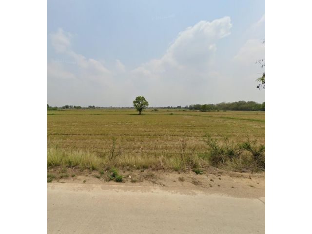 ขายด่วนที่ดิน ต.ไร่หลักทอง อ.พนัสนิคม จ.ชลบุรี ติดถนนวัดกลางคลองหลวง-ไร่หลักทอง ที่สวยมาก ๆๆ