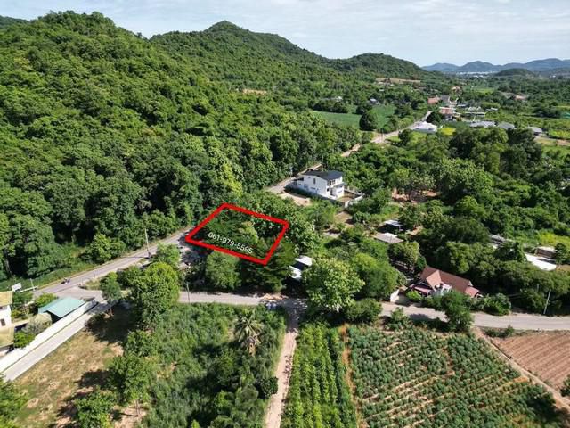 ขายด่วน! ที่ดินพร้อมกิจการคาเฟ่ ร้านกาแฟ สัตหีบ-สุขุมวิท 23