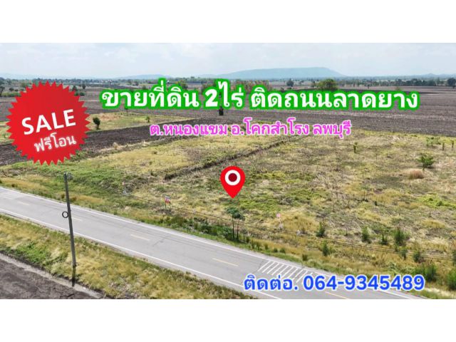 》》ขายด่วน!!ที่ดินติดถนนลาดยาง เนื้อที่ 2 ไร่ ต.หนองแขม อ.โคกสำโรง จ.ลพบุรี  ไร่ละ 270,000 บาท
