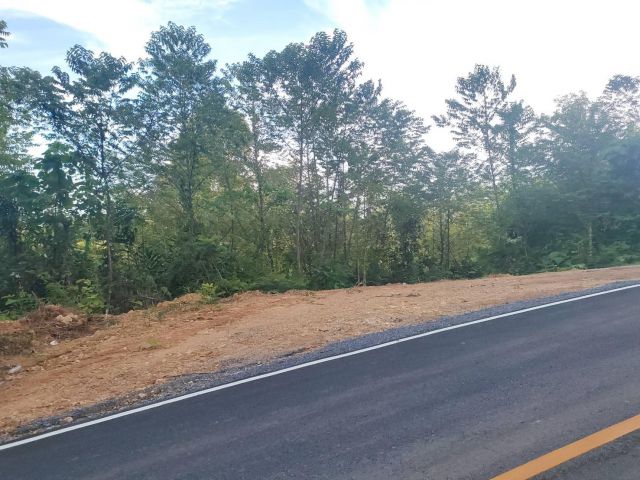 ** LAND FOR SALE PHUKET** 2-0-63.5 ไร่