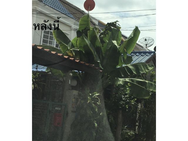 ขายบ้านทาวเฮาส์ 2 ชั้น บางบัวทอง