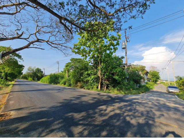 ขายด่วน ที่ดิน 200 ตร.ว. หนองจอก 900,000 บาท(4,500 ต่อวา) ราคารวมภาษี+โอนเรียบร้อยแล้ว