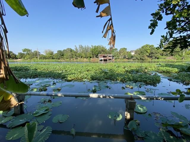 ขาย ที่ดิน 399.7 ตร.ว. นครปฐม ศาลายา พุทธมณฑล