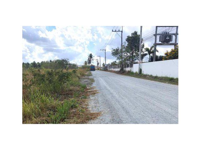 ขายที่ดิน 15 ไร่ ใกล้ถนนมอเตอร์เวย์ ต.ตะเคียนเตี้ย อ.บางละมุง จ.ชลบุรี