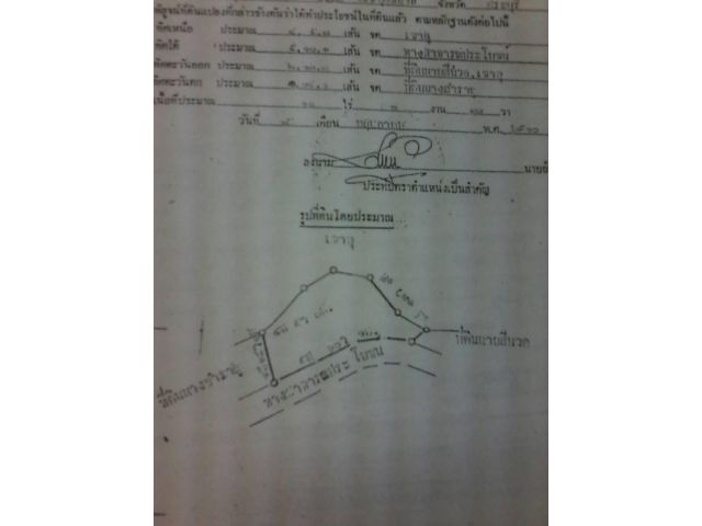ขายที่ดิน 11.ไร่ 1 งาน 30 ตร.วา หลังติดเขา หน้าติดถนนคอนกรีต