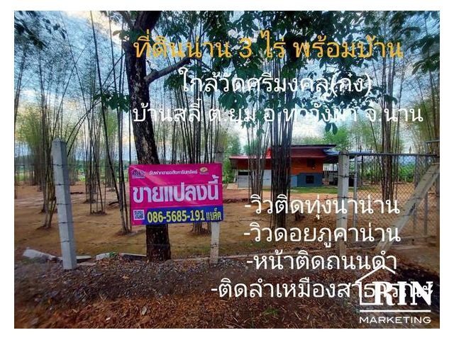 ขายที่ดินน่าน 3 ไร่ พร้อมบ้าน ติดถนนดำติดทุ่งนา วิวดอยภูคา ใกล้วัดศรีมงคล(ก๋ง) บ.สลี๋ ต.ยม อ.ท่าวังผา จ.น่าน