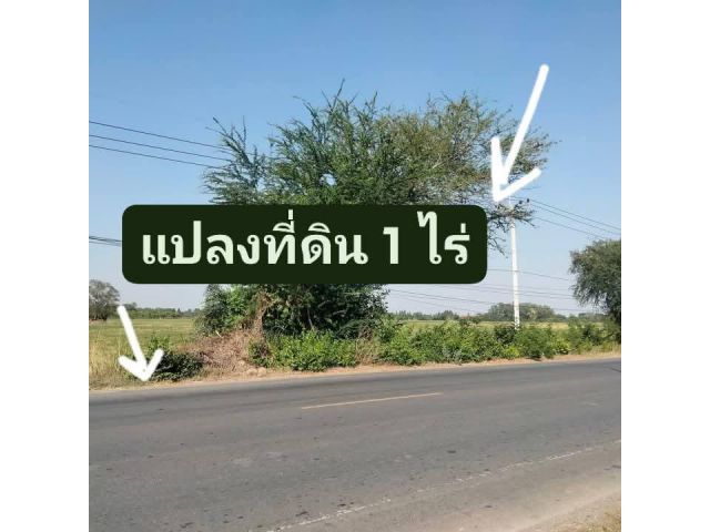 ขายที่ดินติดถนนลาดยางหน้าสำนักงานเทศบาล เหมาะทำการค้า