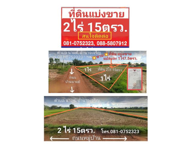 ด่วนๆๆๆๆที่สวยๆๆๆไกล้หมู่บ้านน้ำไฟฟ้าถึง   เนื้อที่ 2 ไร่่ 15 ตรว.