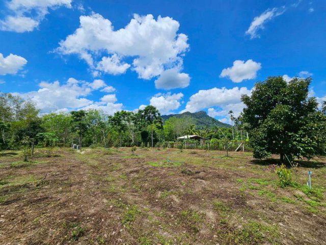 ขายที่ดิน 3-3-45 ไร่ วิวภูเขา พร้อมสวนผลไม้ ทางไปหมู่บ้านคีรีวง ถมแล้ว ลอมรั้วแล้ว อ.ลานสกา จ.นครศรีธรรมราช