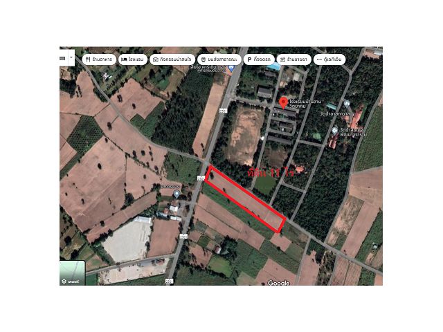 ขายที่ดิน 11 ไร่ ติดโรงเรียนบ้านลานวิทยาคม บ้านไผ่