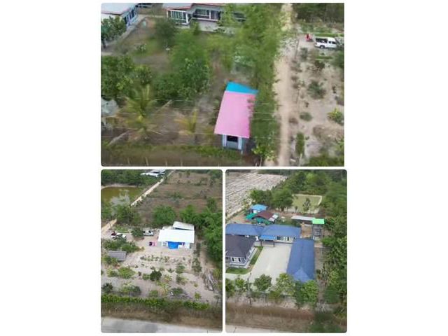 ขายบ้าน 5 หลังพร้อมที่ดิน  อ.สว่างวีระวงศ์  จ.อุบลราชธานี
