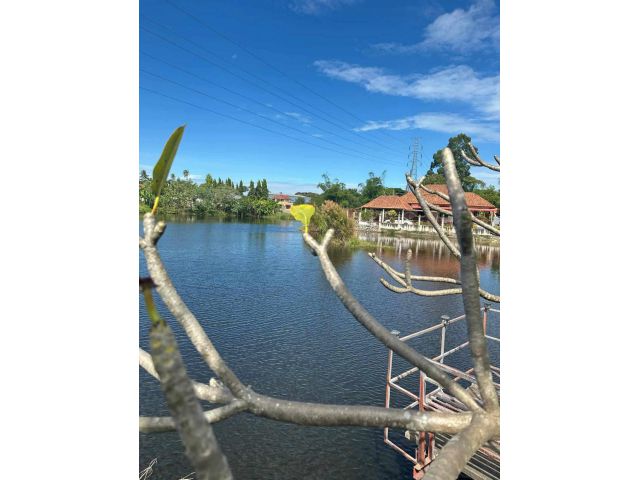 ให้เช่าถูกมาก!! บ้านเดี่ยวติดริมแม่น้ำ วิวสวย ม.ชัยพฤษ 2 ทำเลทอง ใกล้หาดจอมเทียน ตลาดเอ็มมาเก็ต โลตัสพัทยา