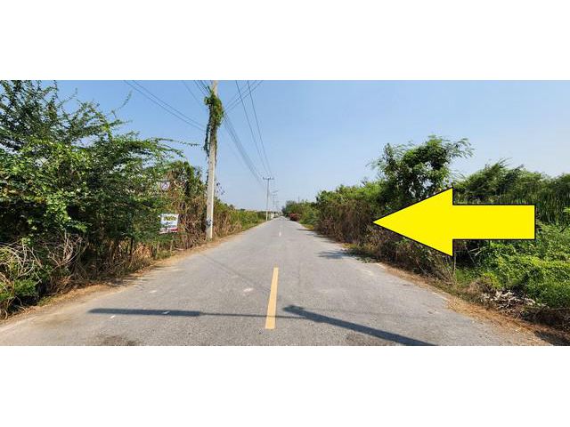 ขายที่ดินติดถนนลาดยาง คลอง 11 หนองเสือ 200 ตรว