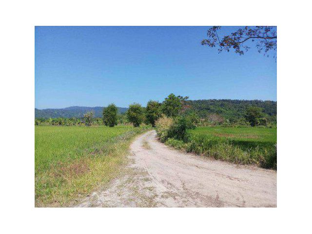 ขายที่ดิน 13 ไร่ ใกล้น้ำตก ต.สาริกา อ.เมืองนครนายก จ.นครนายก