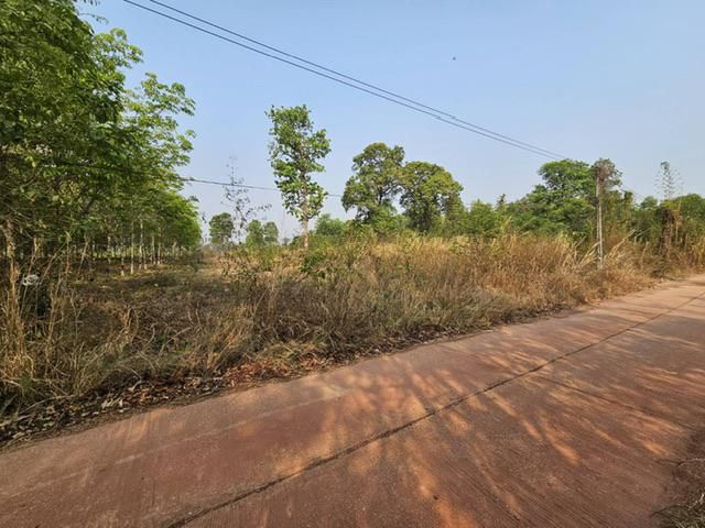 ขายที่ดินว่างเปล่าเหมาะสำหรับสร้างบ้านติดถนนคอนกรีต ตรงข้ามสถานีตำรวจแซงบาดาลขายในราคา350,000บาท