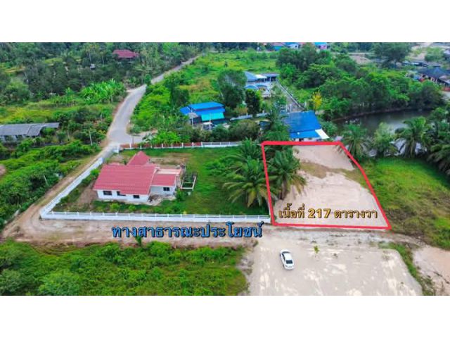 ขายที่ดินเปล่านาตาขวัญระยอง217ตรว.