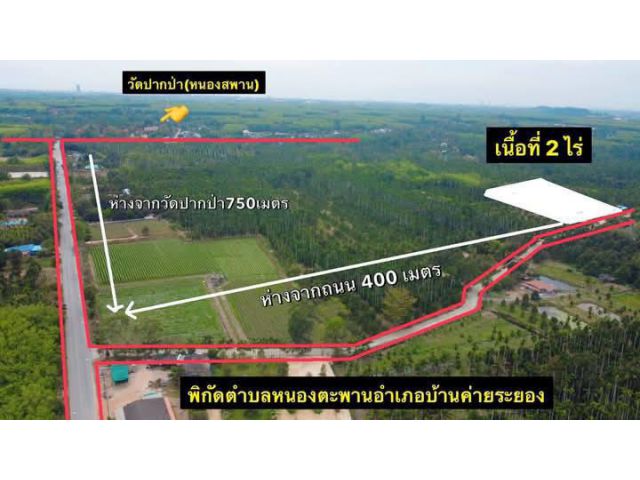 ขายที่ดินติดถนนคอนกรีตไกล้วัดปากป่าระยองหนองตะพานบ้านค่ายระยอง