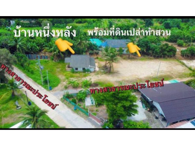 ขายที่ดินเปล่าติดถนนคอนกรีตต.นาตาขวัญจ.ระยอง