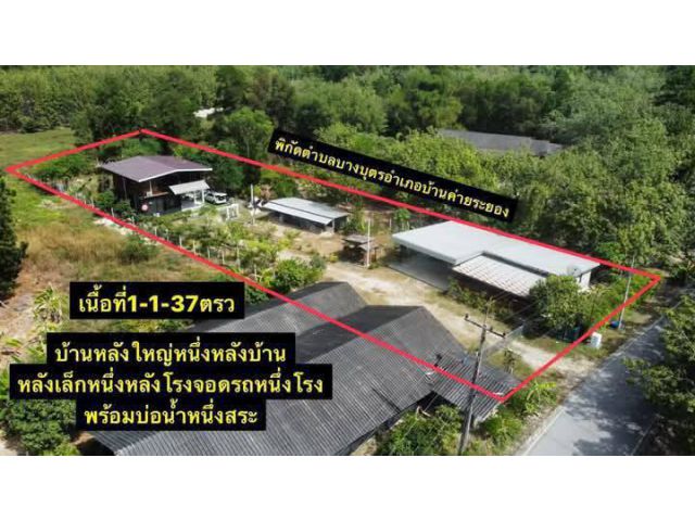 ขายบ้านสวนหลังเดี่ยวสวยๆบางบุตรบ้านค่ายจ.ระยอง