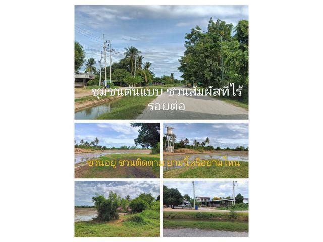 สุดทึ่งอึ้งในทำเล ตลึง ตลุย ตลอดสุดยอดเรื่องที่ทำกินถิ่นที่อยู่อาศัยที่ใกล้ความต้องการเป็นย่านที่ควรอยู่ ยังงัยก็ใช่