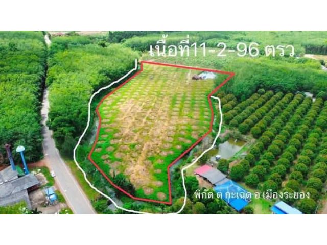 ขายที่ดินเปล่าติดถนนสุขุมวิทบ้านเพระยอง