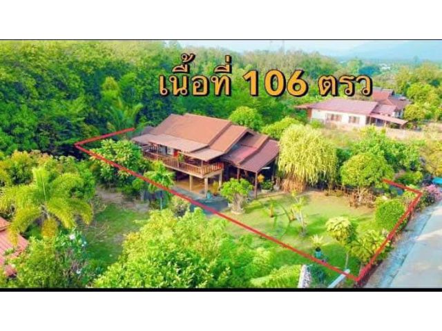 ขายที่ดินติดทะเลระยอง