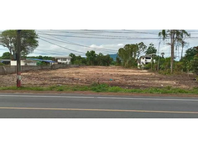 ขายที่ดินติดหาดแม่รำพึงระยอง