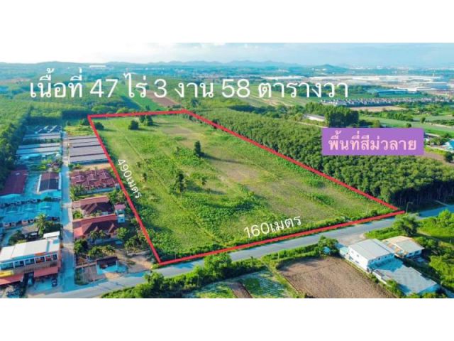 ขายที่ดินผังม่วงลายเหมาะสร้างโรงงานนิคมมะขามคู่ระยอง47ไร่