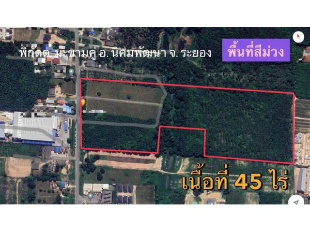 ขายที่ดินผังม่วงลายนิคมมะขามคู่จ.ระยอง45ไร่