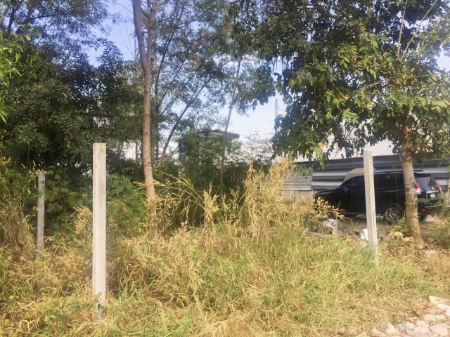 ขายที่ดิน ซอยร่วมสุข บ้านใหม่ เนื้อที่ 100 ตรว. ถมแล้ว พร้อมค่าเช่า ได้ผลตอบแทนทันที ซอยร่วมสุข 7/35 ที่ดินรูปสี่เหลี่ยม