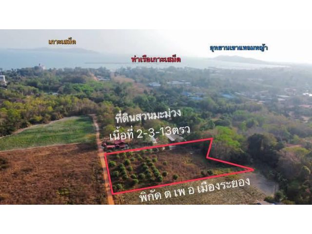 ขายที่ดินเปล่าไกล้หาดแม่รำพึงระยอง