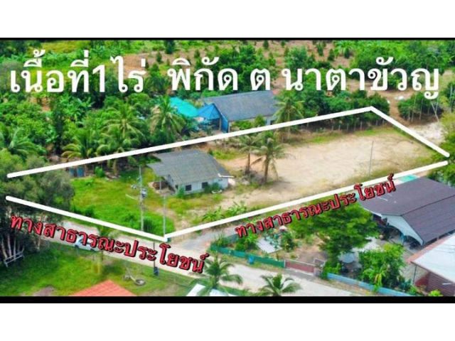 ขายที่ดินเปล่าต.นาตาขวัญจ.ระยอง