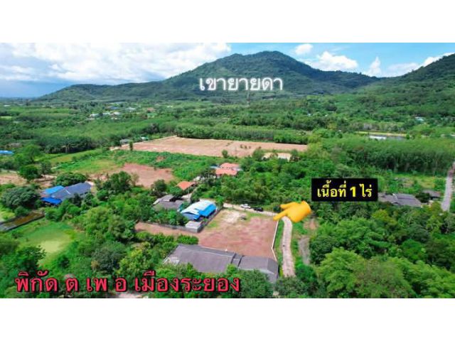 ขายที่ดินเปล่าไกล้เขายายดาระยอง