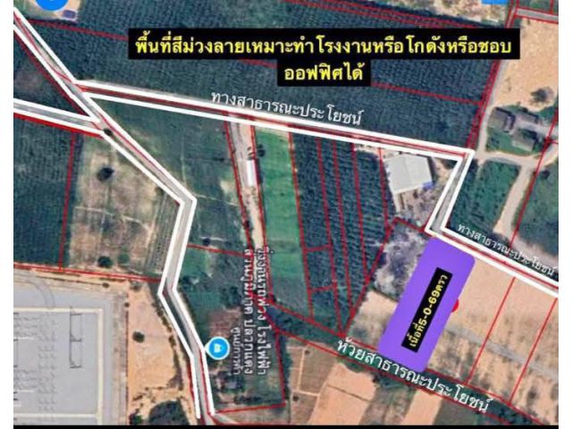 ขายที่ดินเปล่าผังม่วงปลวกแดงระยอง