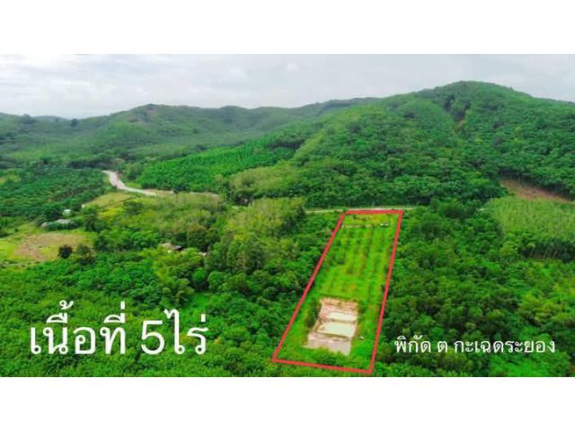 ขายสวนทุเรียนแกลงติดถนนคอนกรีตระยอง