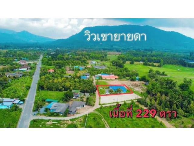 ขายบ้านเดี่ยววิวเขายายดาระยอง